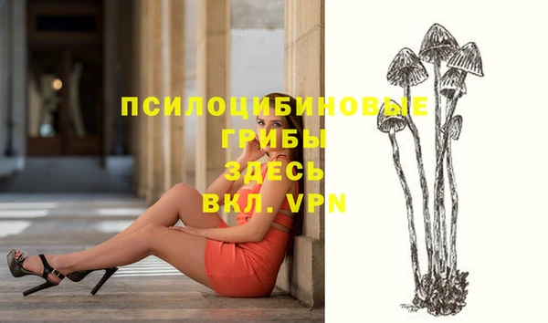 2c-b Няндома