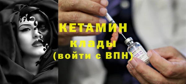 индика Нягань