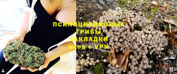 гашик Алексеевка
