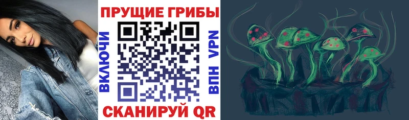 Псилоцибиновые грибы мухоморы сайты даркнета телеграм Верещагино