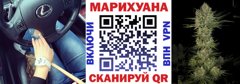 где можно купить   Верещагино  Каннабис сатива 